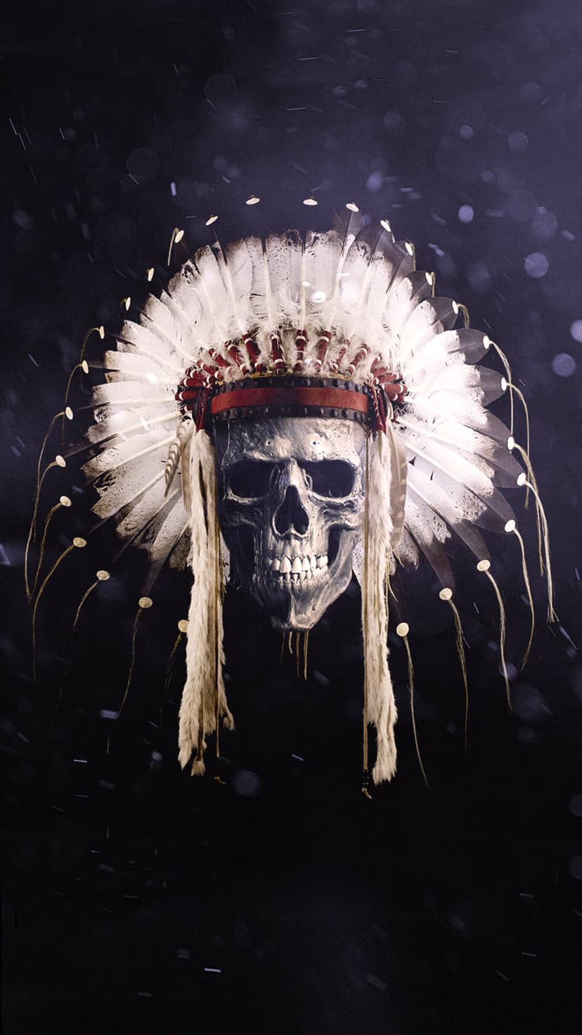 Human skull wearing a traditional feathered headdress with black and white plumage against a dark bokeh background.