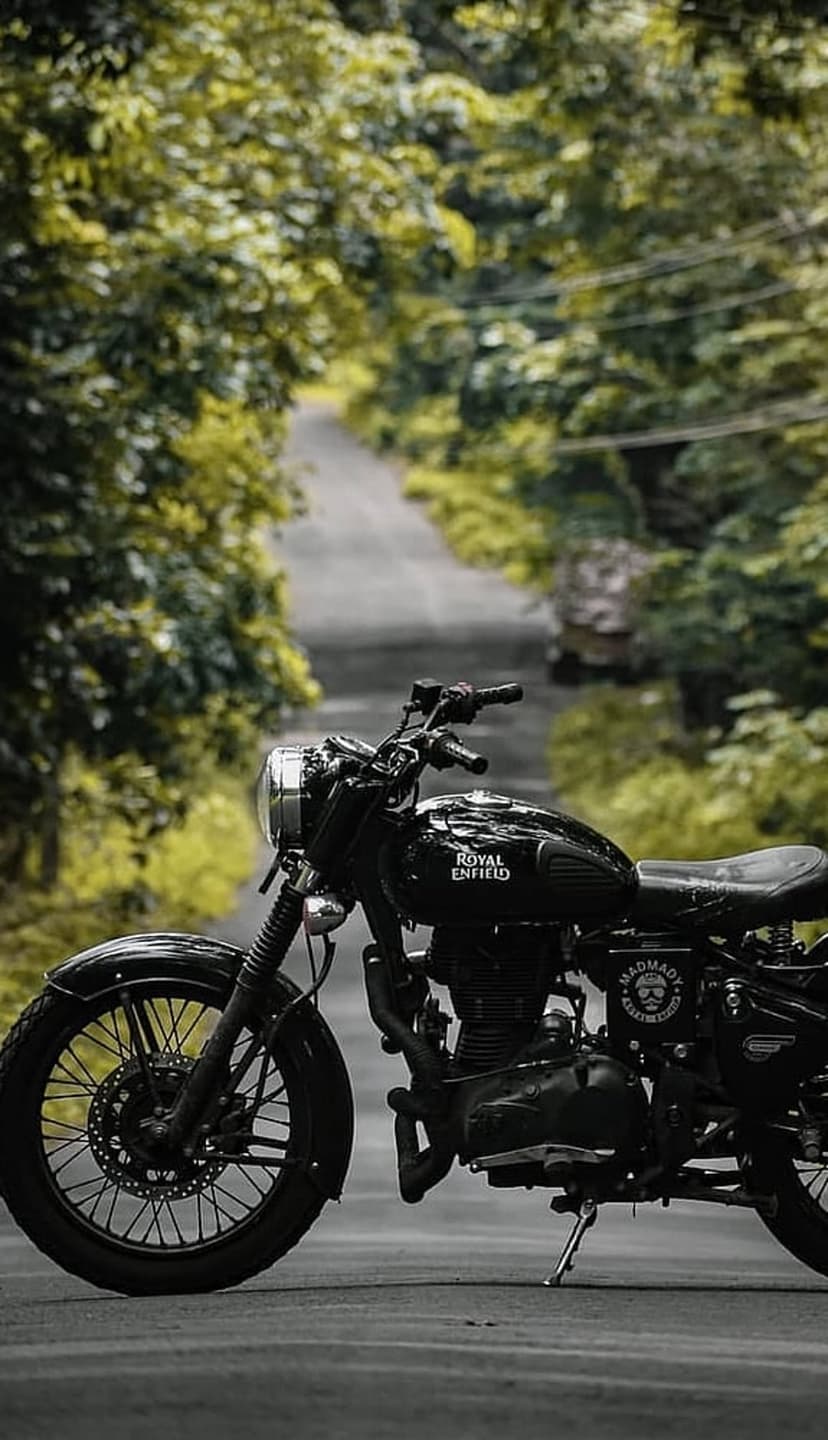 Black Royal Enfield motorcycle parked on a forest road under a canopy of green trees with dappled sunlight.