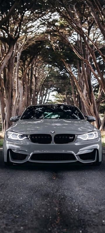 Grey BMW M4 parked on a tree-lined road