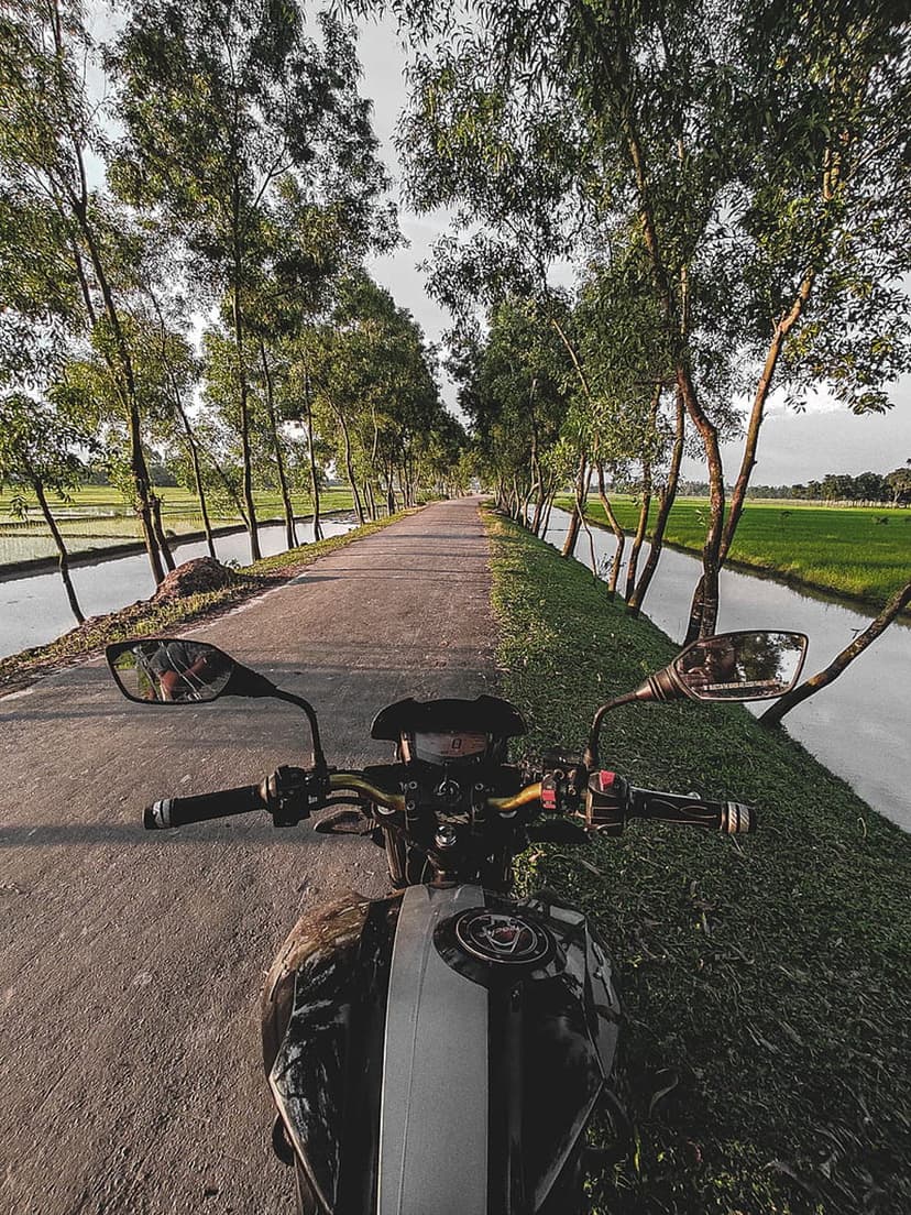Motorcycle handlebars and fuel tank on a paved road surrounded by green trees and a canal in the distance.