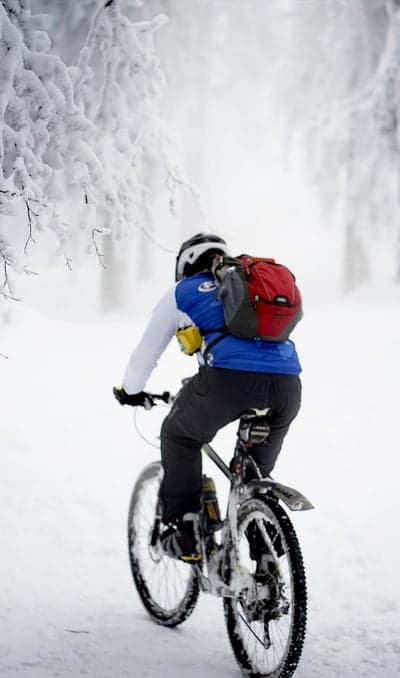 Winter Forest Trail Mountain Biker Phone Wallpaper
