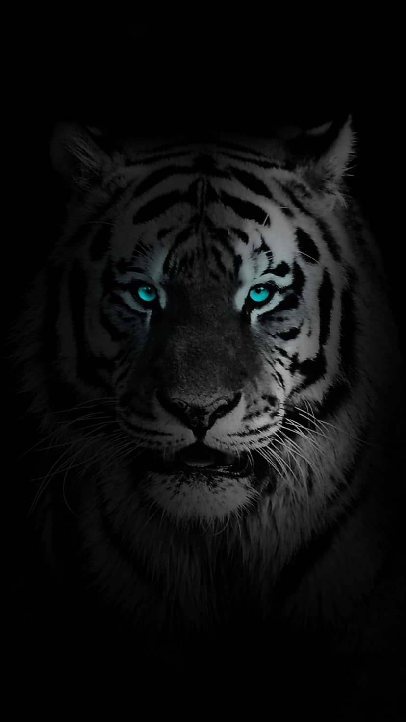 Tiger with piercing blue eyes and silver fur stares forward against a deep, dark, and shadowy background.