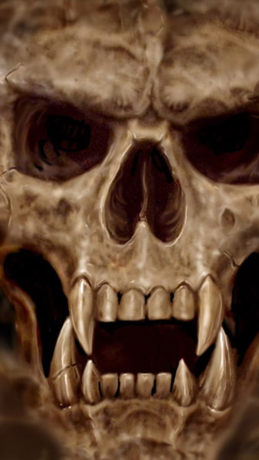 Skull with long predatory fangs and deep black eye sockets showing realistic weathered bone textures and shadows.