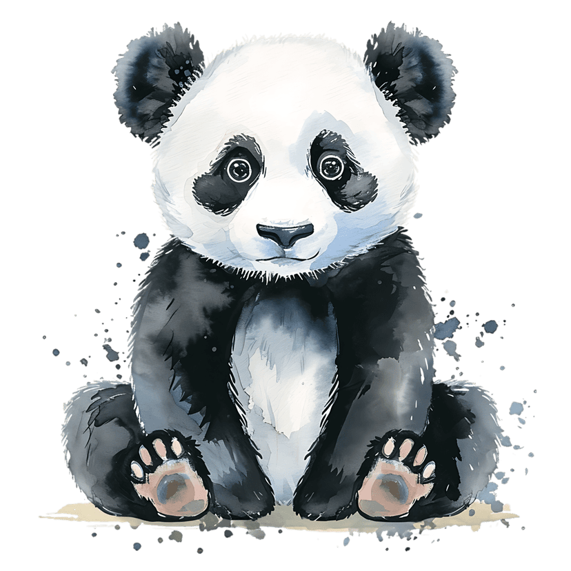 Panda watercolor illustration sits against a black background with soft grey fur textures and blue paint splatters.