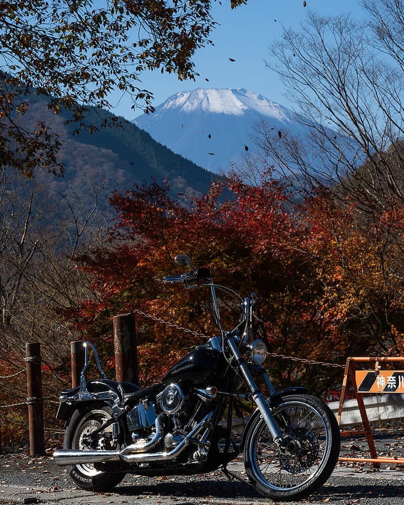 Black Harley-Davidson motorcycle parked on a rural road with red autumn leaves and Mount Fuji in the background.
