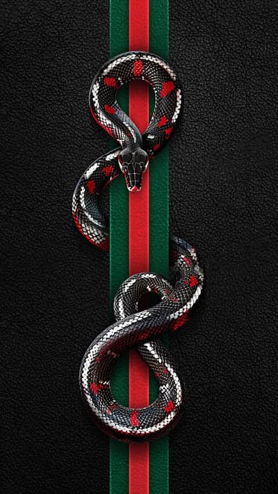 Gucci Snake Black Red Green Stripe Wallpaper