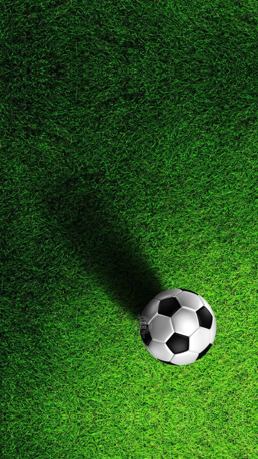 Soccer ball sits on a lush green grass field with a long shadow and detailed turf texture under bright sunlight.
