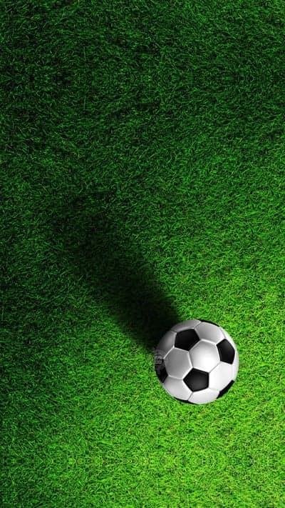 Soccer ball on lush green grass field