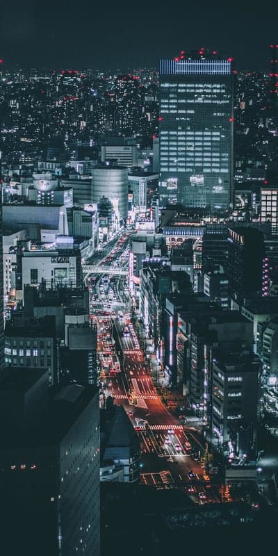 Cyberpunk Metropolis- Tokyo's Neon Pulse