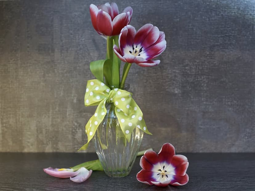 Three red and yellow tulips in a glass vase with a green polka dot ribbon against a dark, textured background.