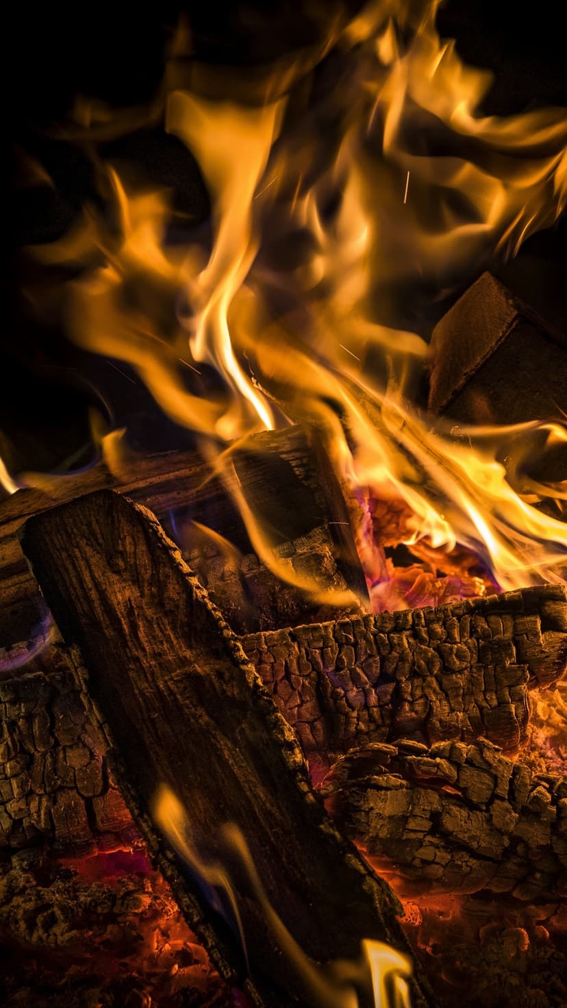 Orange and yellow flames leap from charred logs and glowing embers during a night campfire outdoors.