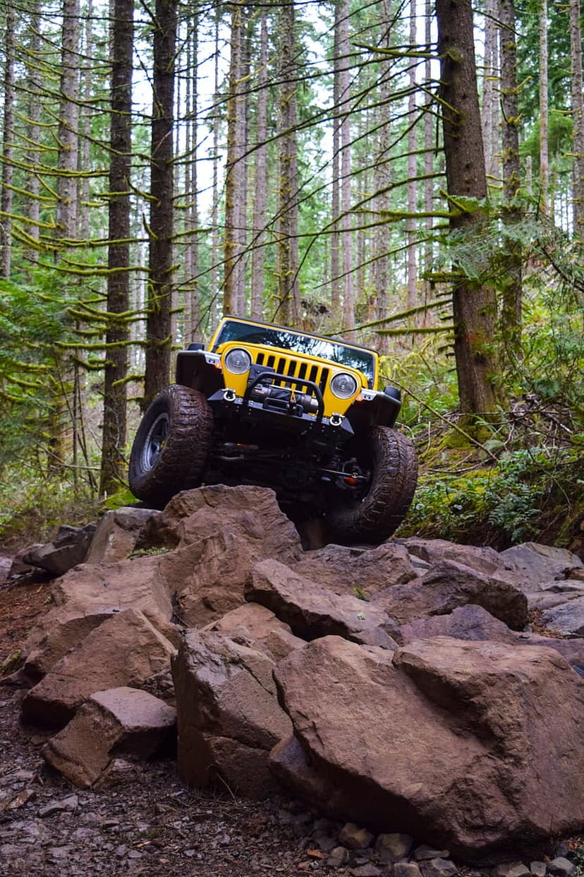 Yellow Jeep Wrangler mid-climb on mossy rocks in a dense green forest with its large tires gripping grey boulders.
