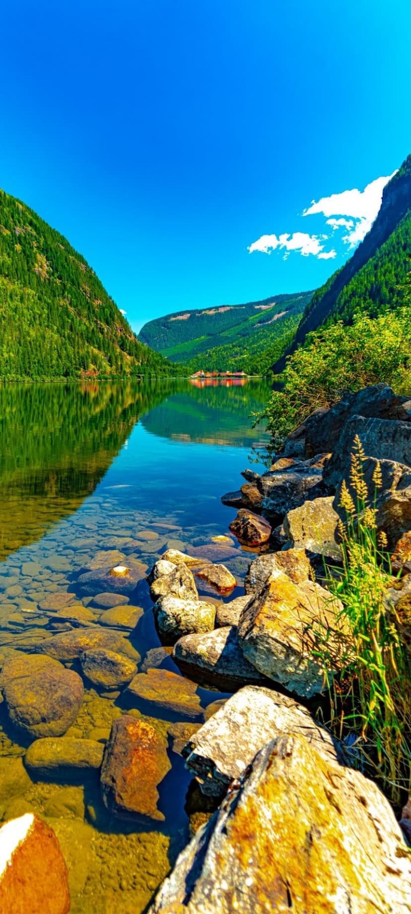 Steep green mountains reflect in a crystal-clear fjord with a small red house and sunlit rocks in the foreground.