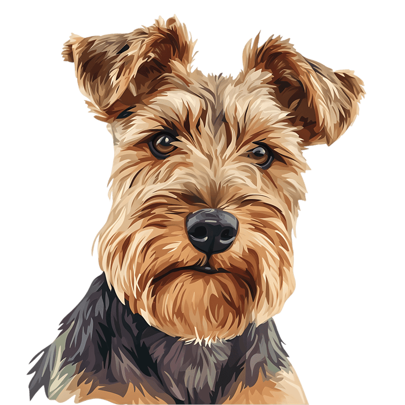 Yorkshire Terrier portrait illustration features detailed tan and brown wiry fur textures on a black background.