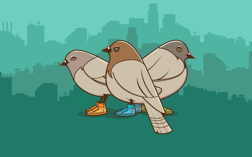 Three stylized pigeons wearing colorful sneakers stand in a row against a muted teal city skyline silhouette.