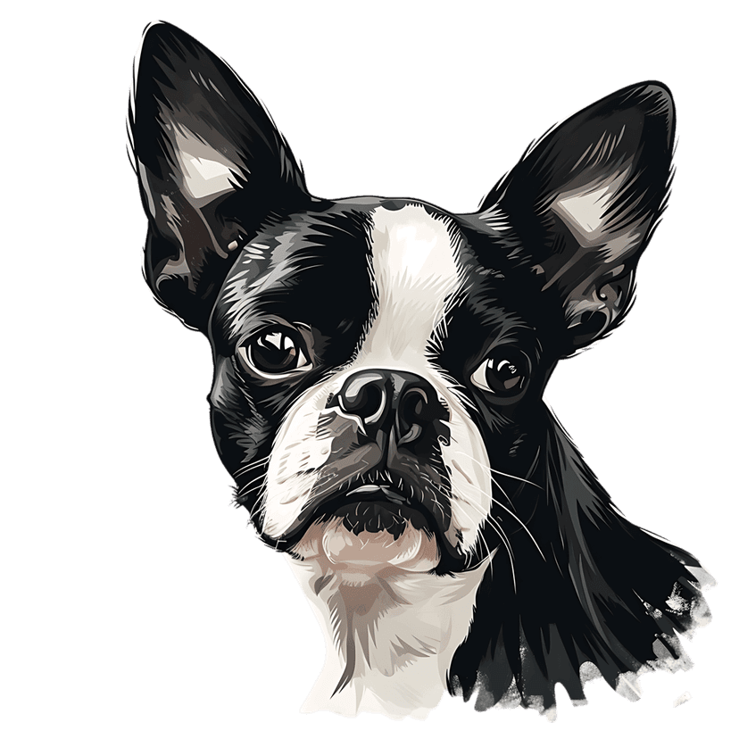 Boston Terrier portrait features black and white tuxedo markings and large ears in a stylized digital art style.