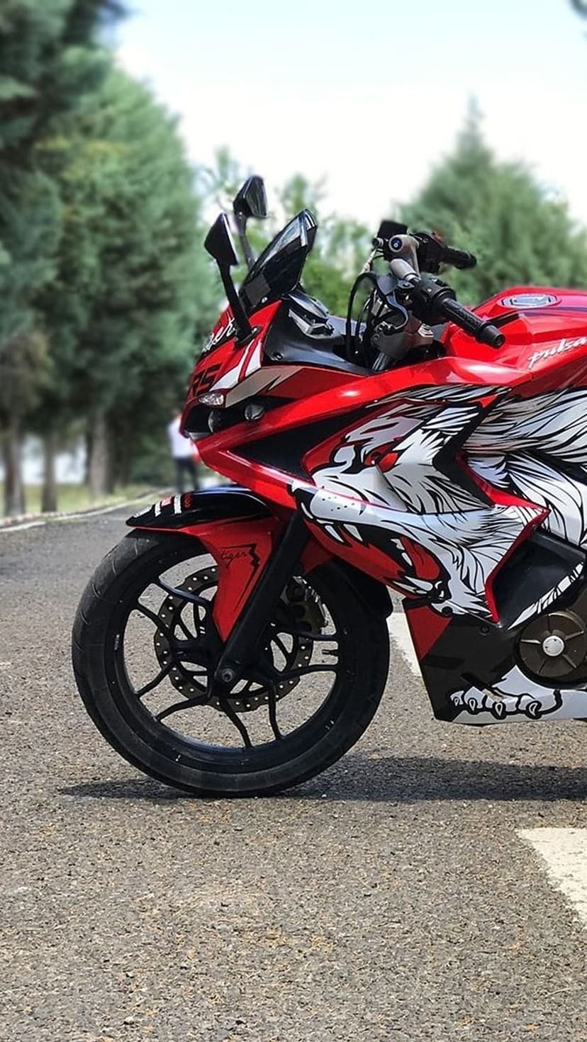 Red sport motorcycle with a white wolf graphic parked on a sunlit asphalt road with blurred forest scenery.