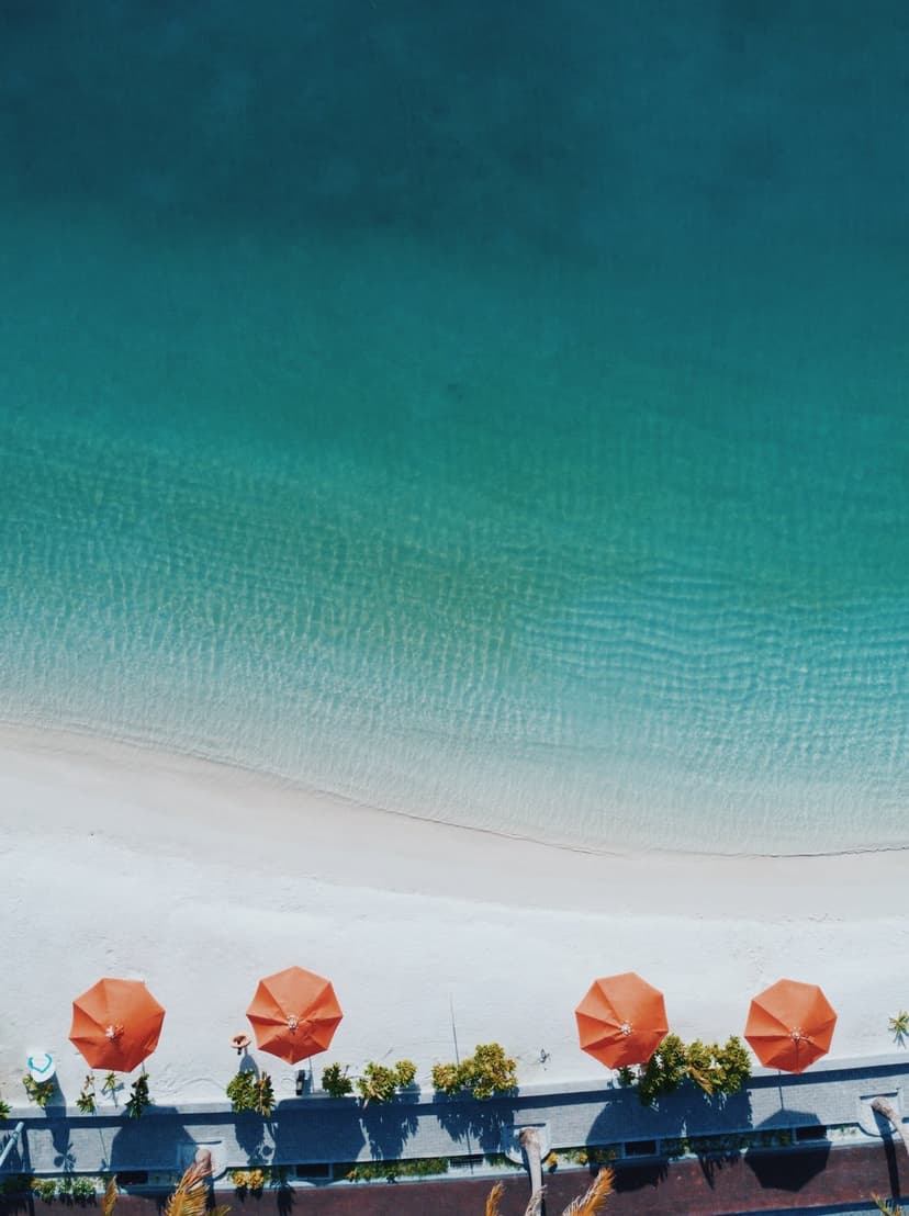 Orange umbrellas line a white sand beach next to clear turquoise ocean water from a top-down drone perspective.