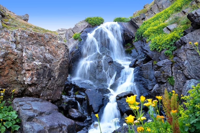 Multi-tiered waterfall flows over dark jagged rocks past yellow wildflowers under a bright blue mountain sky.