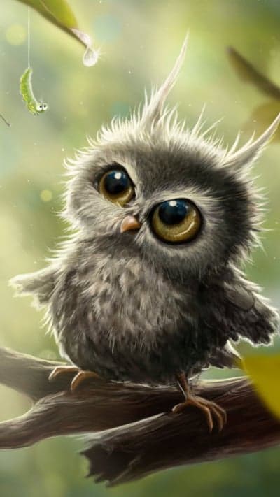 Curious Grey Owlet and Caterpillar Phone Background