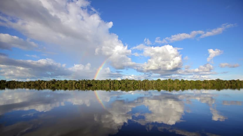 River reflection landscape shows symmetrical forest trees and blue sky mirrored on a calm water surface.