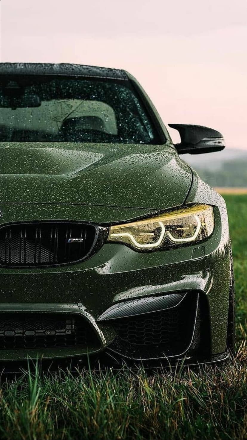 Dark green BMW M4 sports car with water droplets on its hood parked in wet grass during a rainy afternoon.