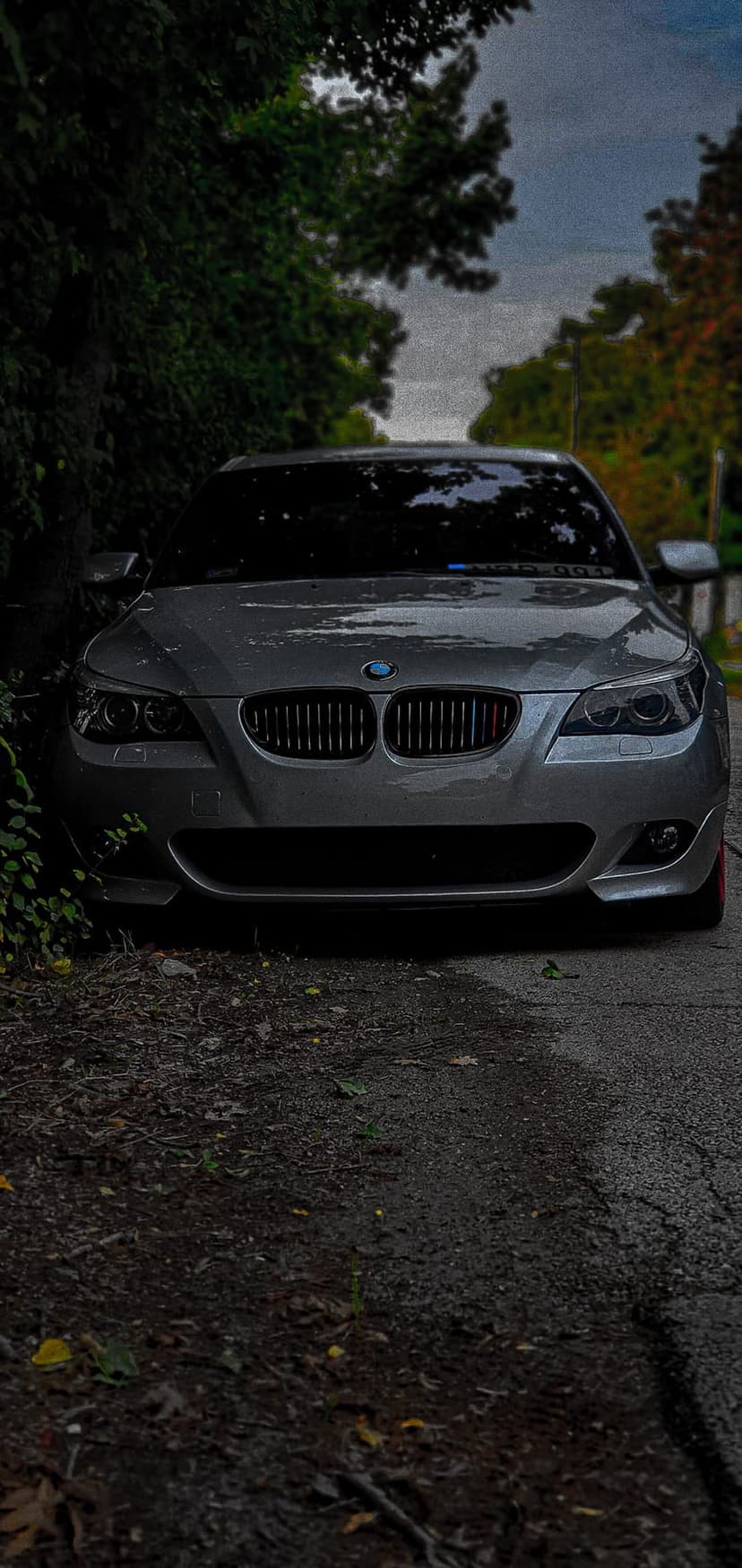 Silver BMW sedan front grille and headlights on a wet paved road bordered by lush green and orange autumn trees.