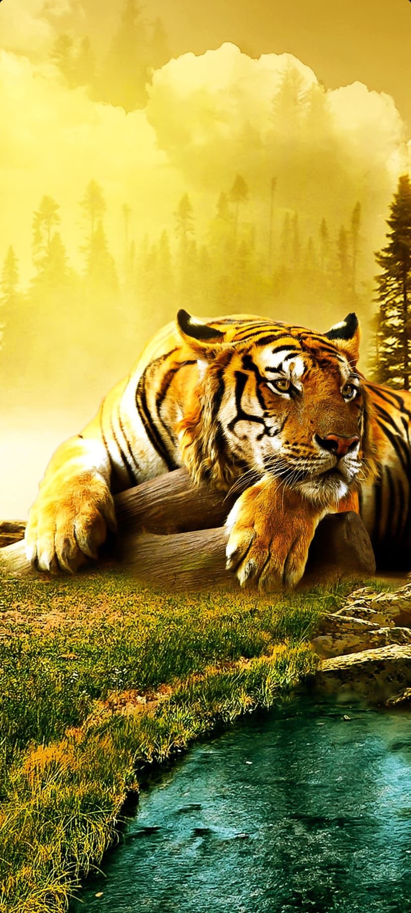 Bengal tiger reclining on a mossy log next to a turquoise stream under warm sunlight in a lush green forest.