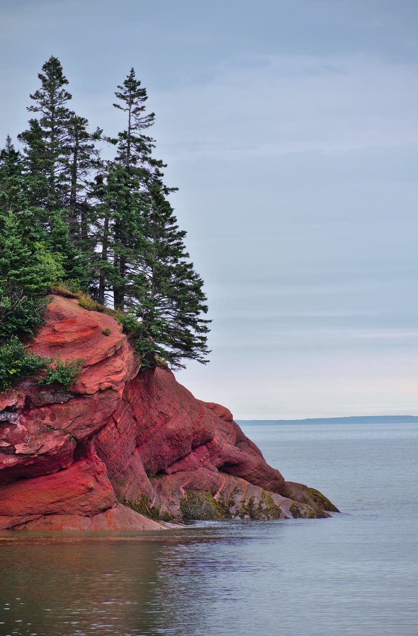 Red sandstone cliffs with evergreen pines overlook a hazy ocean horizon on this vertical coastal landscape.