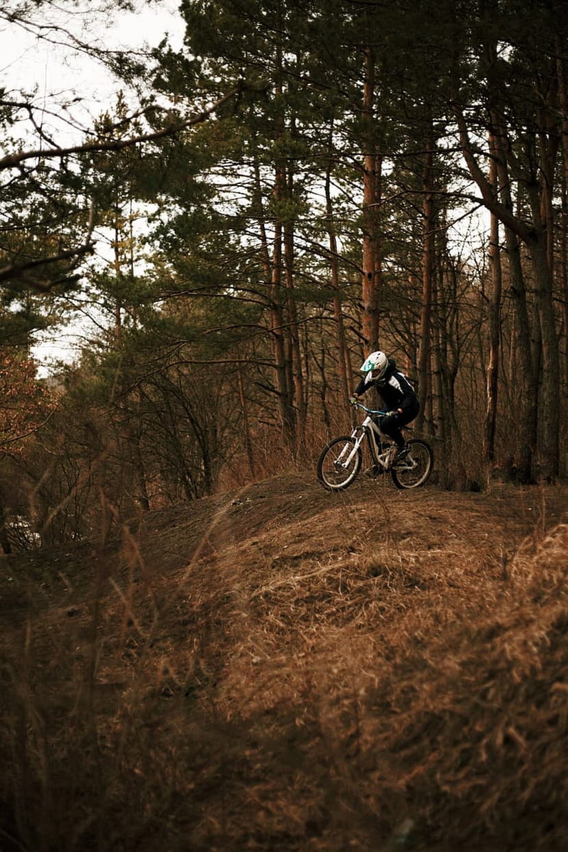Mountain biker wearing a helmet rides along a dirt path surrounded by tall thin trees and fallen autumn leaves.