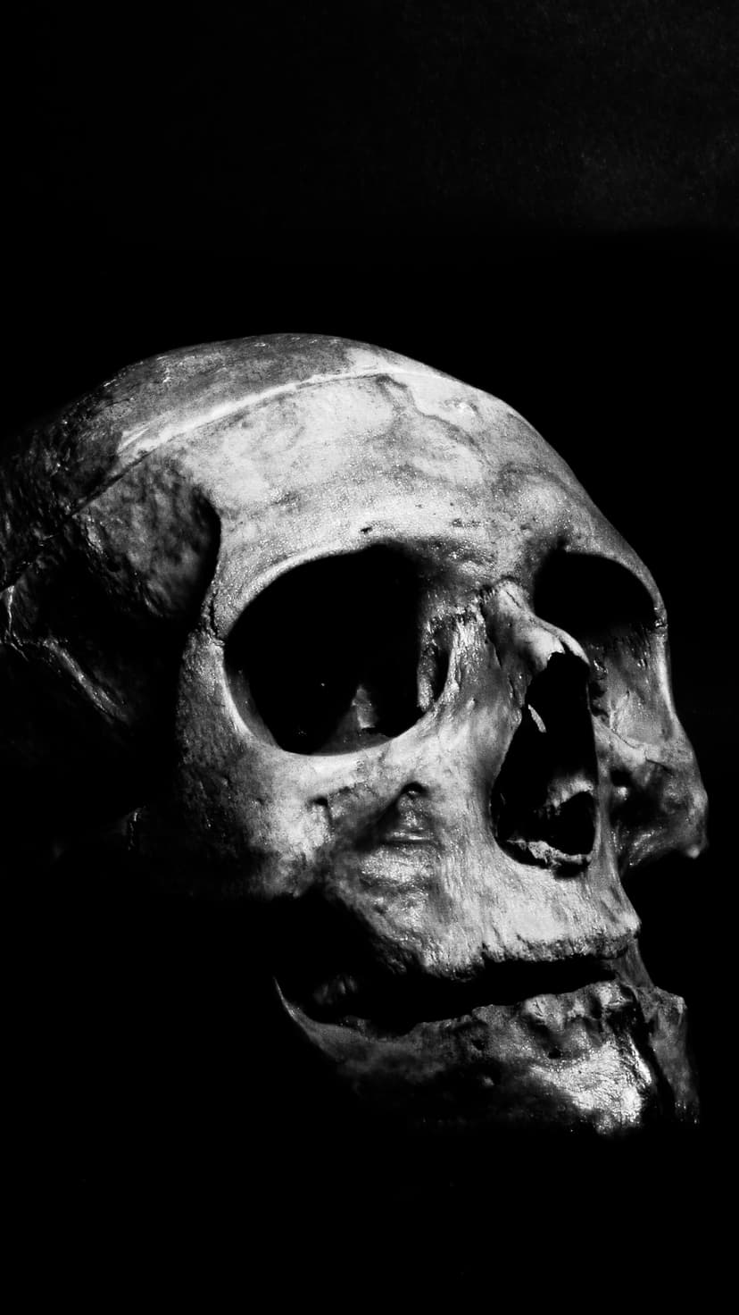 Human skull with deep shadows and bright highlights on a black background, focusing on weathered bone textures.