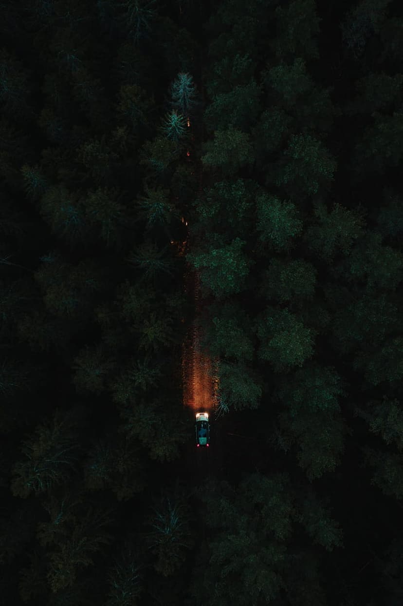 Car headlights illuminate a dirt path through a dense dark forest viewed from a high aerial drone perspective.