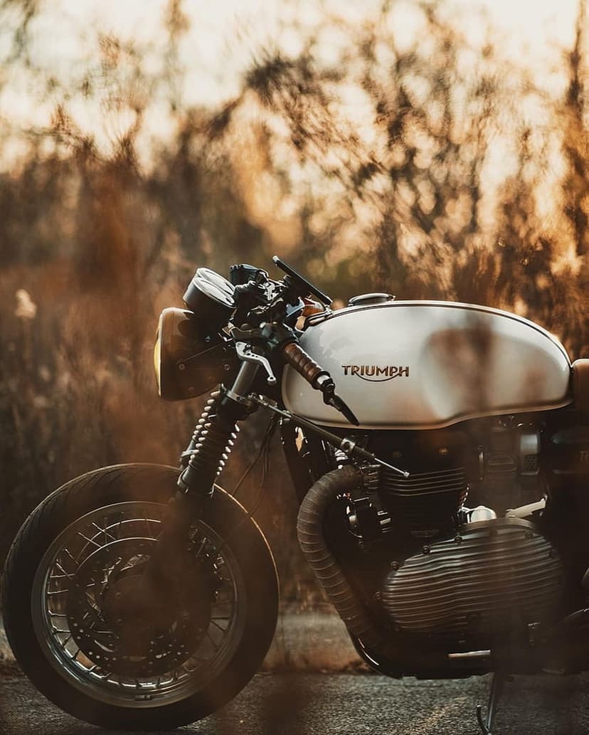 Vintage Triumph motorcycle with a silver tank and spoked wheels sits in warm golden hour sunlight near dry grass.