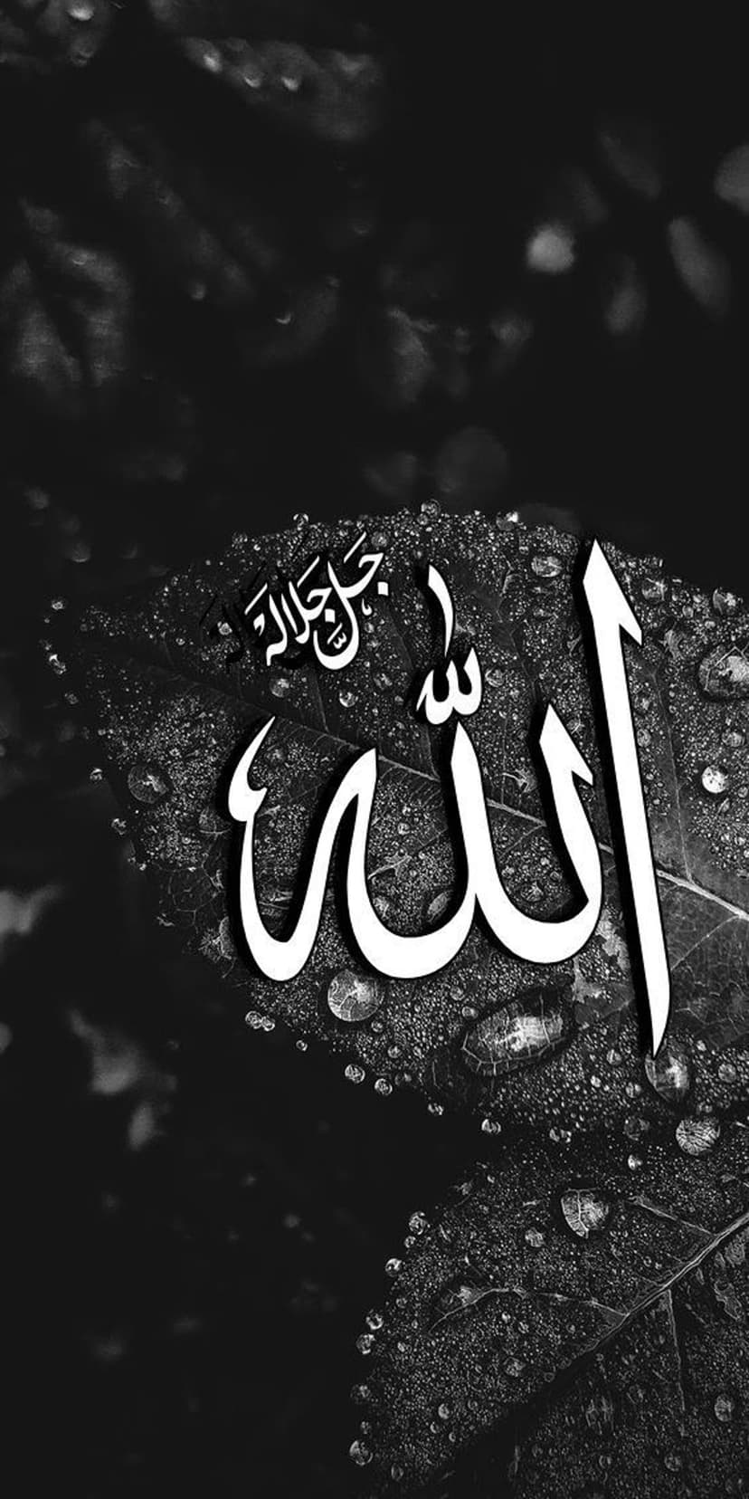 White Allah calligraphy centered on a textured dark leaf with glistening raindrops in a black and white scene.