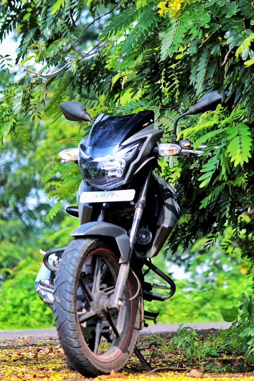 Black motorbike front tire and headlight positioned under a sunlit green tree with scattered yellow blossoms.