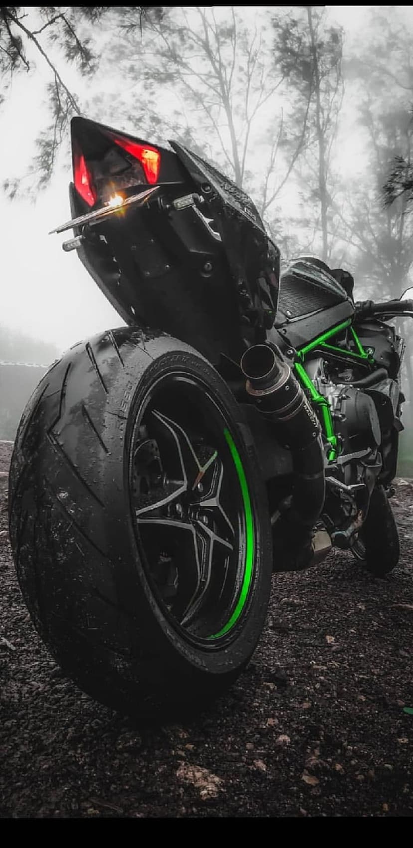 Kawasaki Ninja H2R rear view shows a green frame and red taillight on wet gravel against a misty forest.