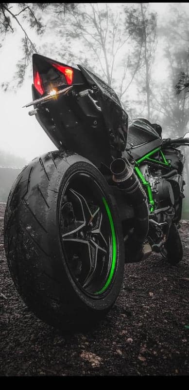 Kawasaki Ninja H2R rear view, rainy day, misty forest