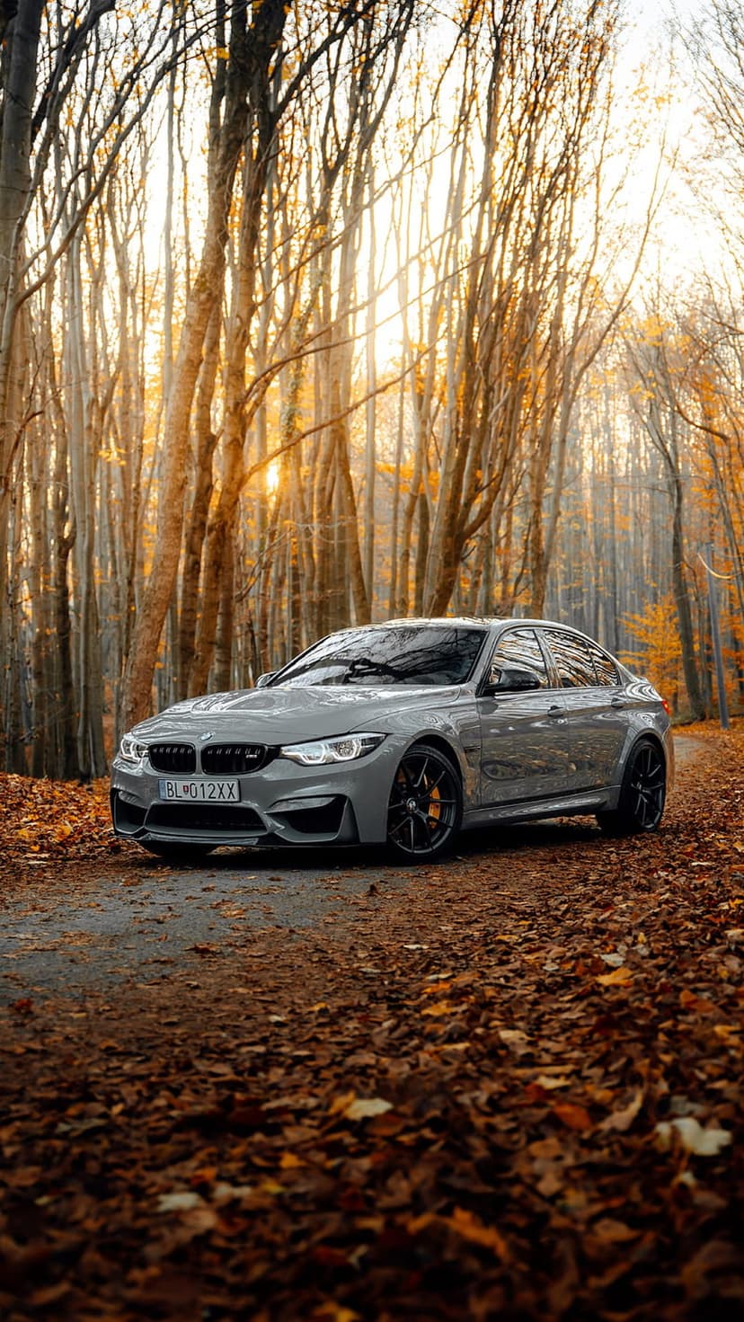 Gray BMW M3 sedan drives on a leaf-strewn forest road during a golden sunset with illuminated headlights.