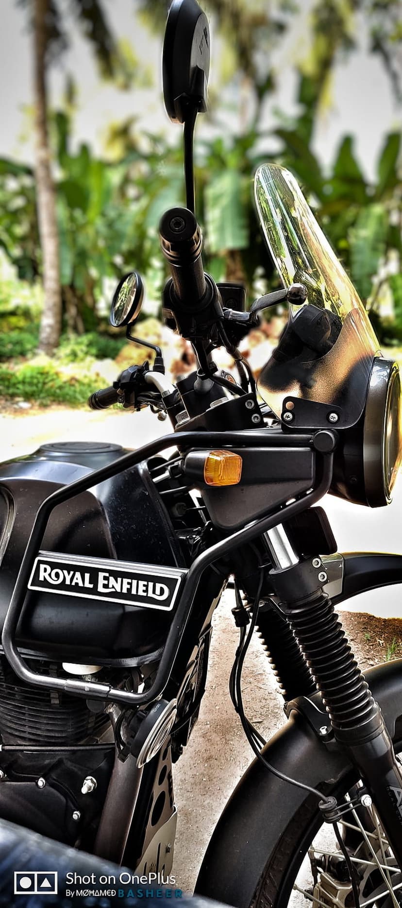 Royal Enfield motorcycle front view with camouflage windshield and black fuel tank against blurred green leaves.