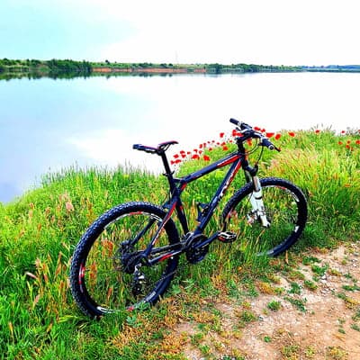 Red Mountain Bike in Poppy Field Lake Phone Background