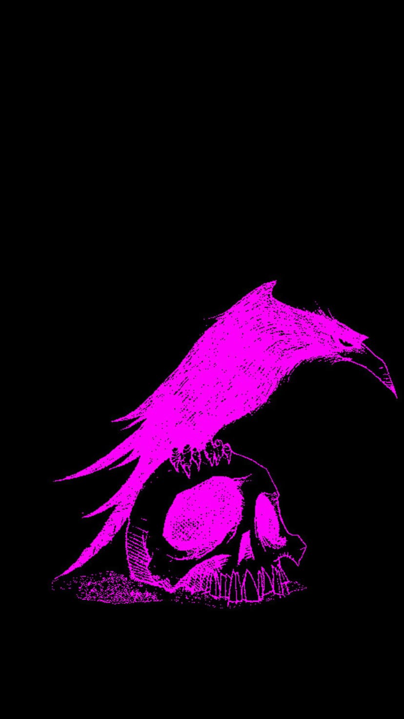 Vibrant pink luminescent raven with detailed wings perches atop a human skull against a solid black background.