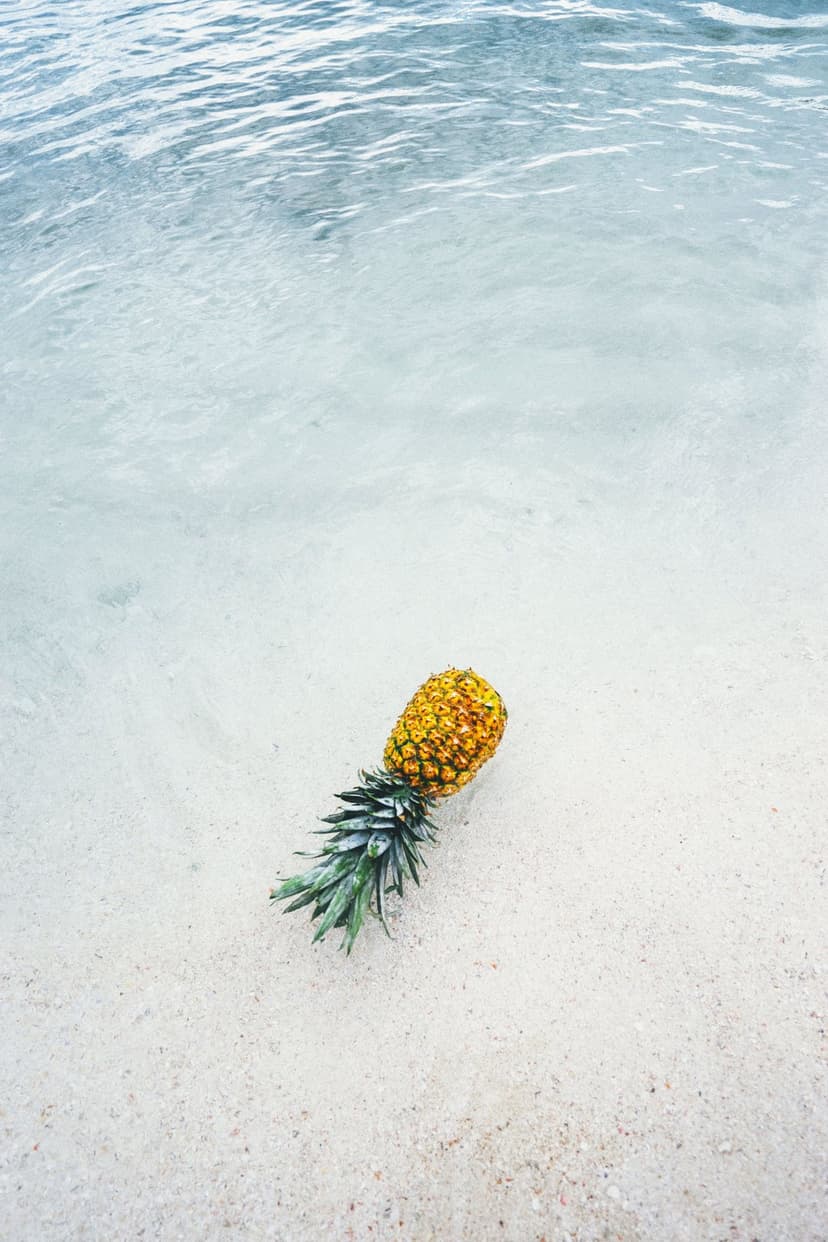 Pineapple resting in shallow turquoise ocean water on a sandy beach as gentle waves wash over the fruit.