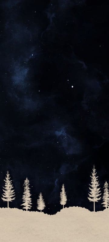 Starry Night Sky Over Snowy Pine Forest Silhouette