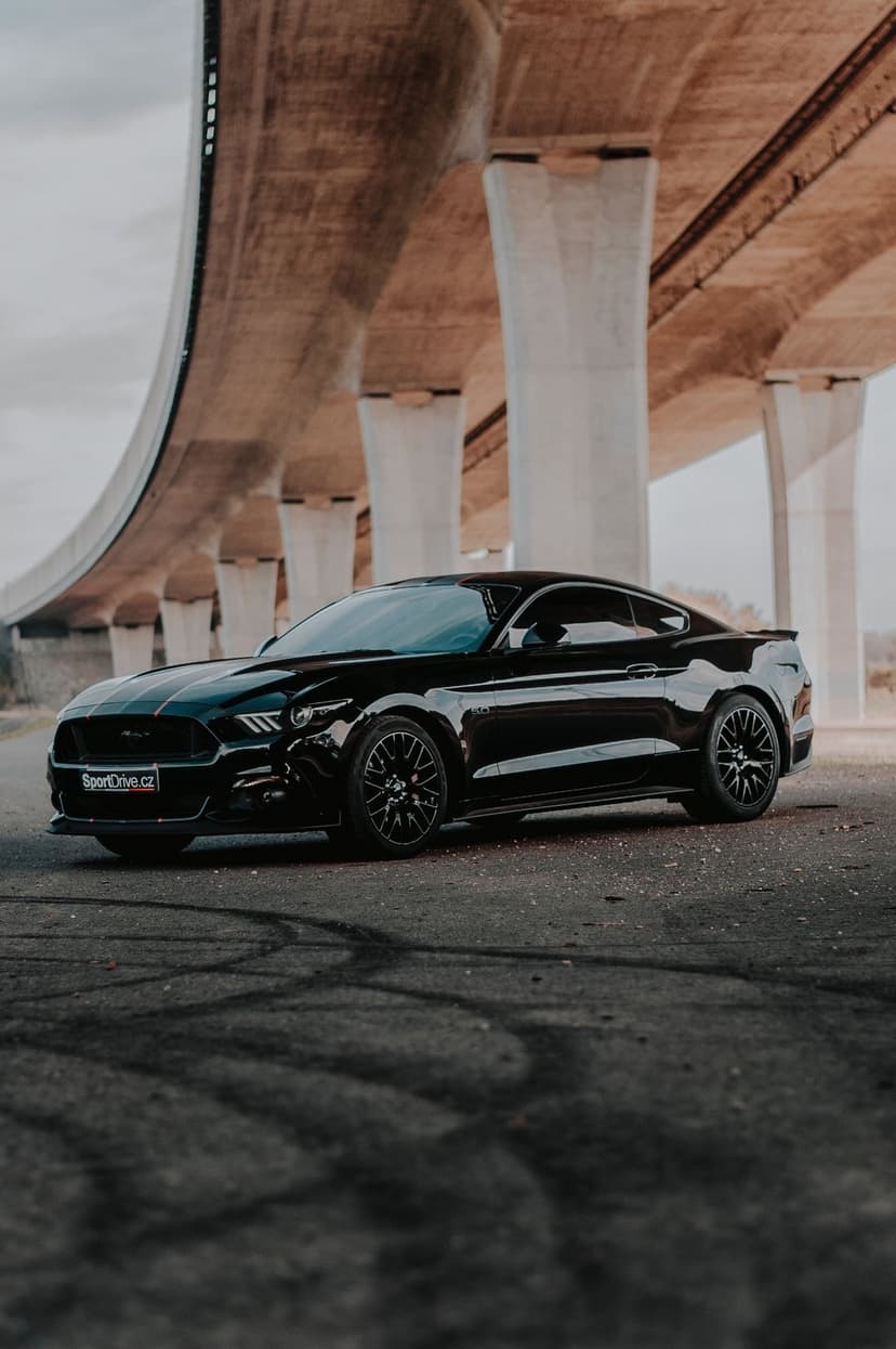 Black Ford Mustang GT with racing stripes parked on asphalt under a massive industrial concrete highway bridge.
