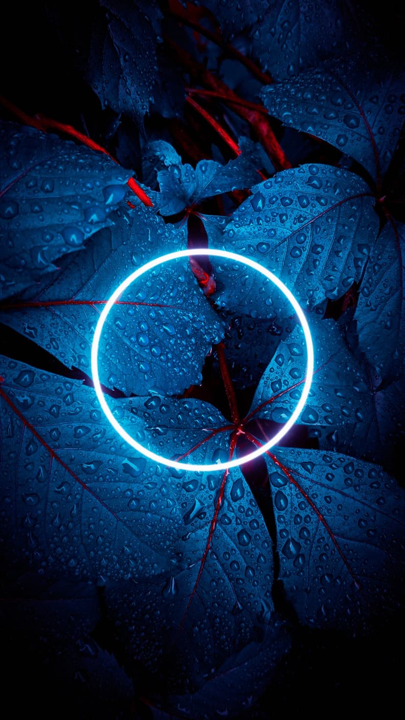 Luminous white ring suspended over dark blue leaves covered in water droplets with faint red botanical veins.