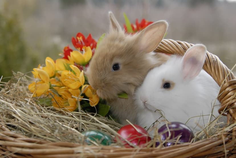 Two small bunnies sit in a woven basket surrounded by colorful Easter eggs and fresh spring blossoms in soft light.