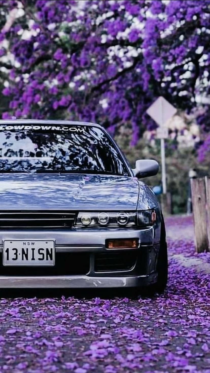 Nissan Silvia S13 coupe parked on a street covered in fallen purple jacaranda flowers under soft sunlight.