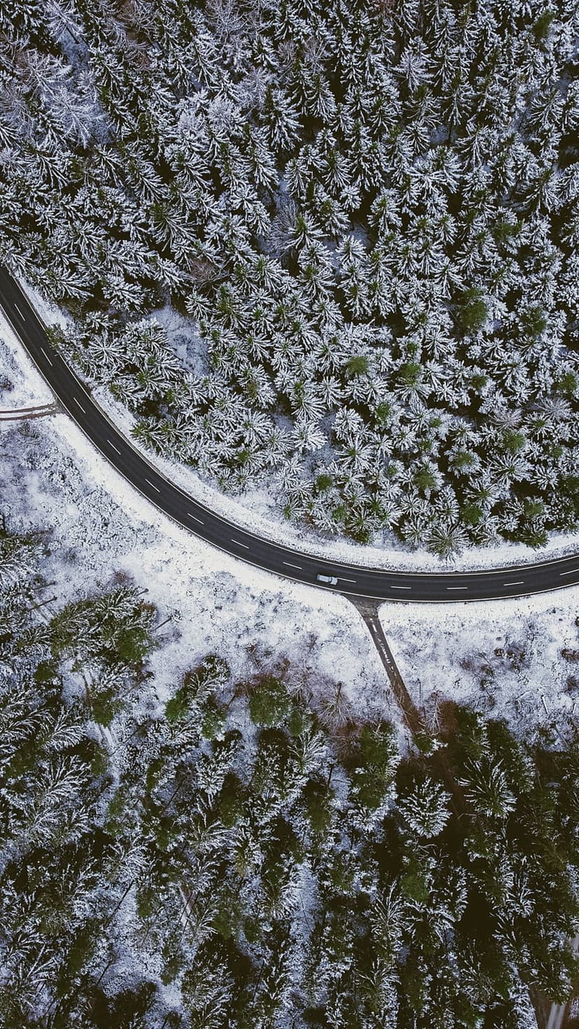 Winding black asphalt road cutting through a dense forest of snow-covered pine trees from a top-down aerial view.