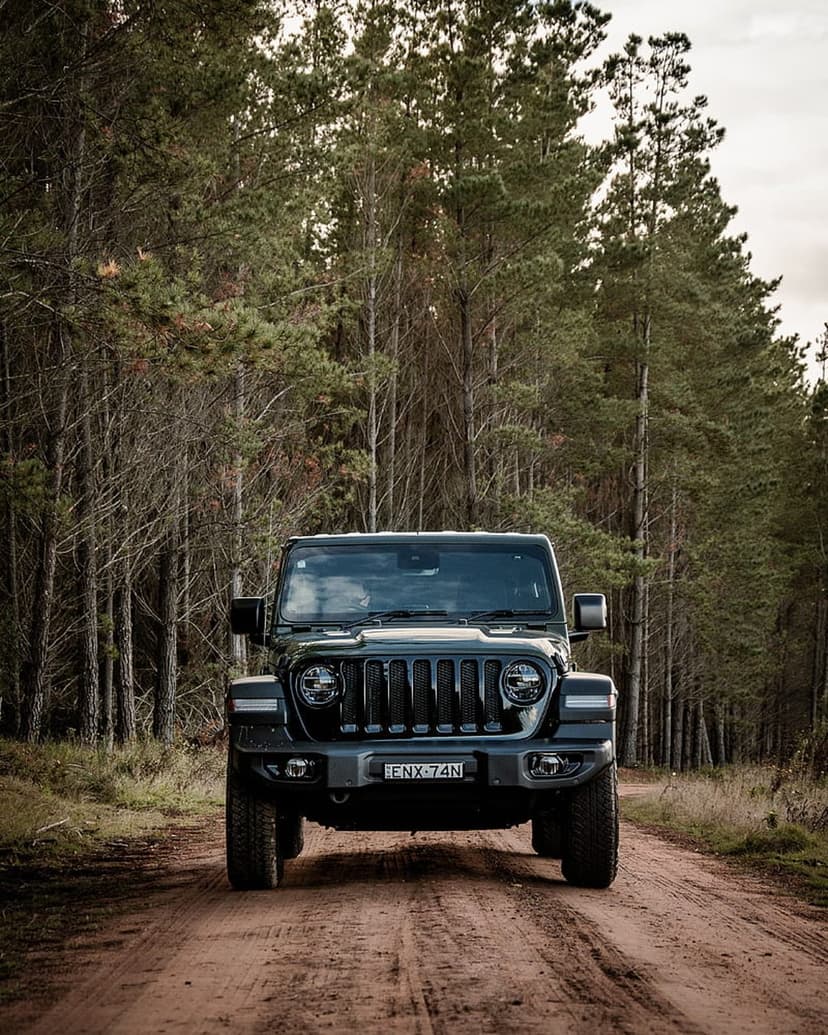 Dark green Jeep Wrangler driving on a narrow dirt road between tall pine trees in a dense forest wilderness.