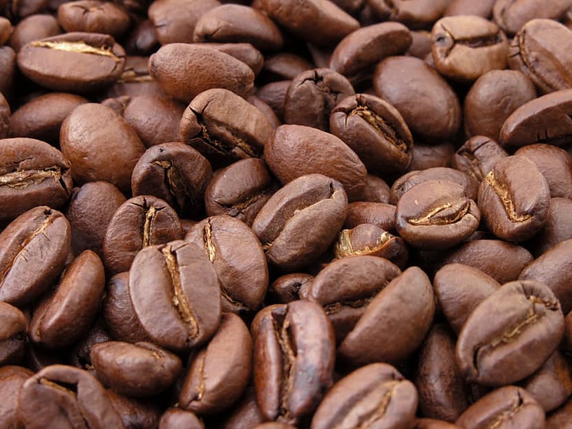 Roasted coffee beans show intricate grooves and glossy textures in a tight macro shot with deep brown tones.